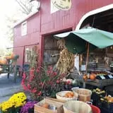 Clover Nook Farm photo