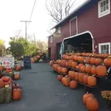 Clover Nook Farm photo