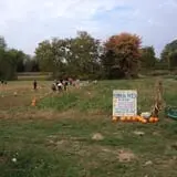 Clover Nook Farm photo