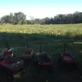Clover Nook Farm photo