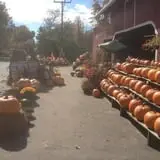 Clover Nook Farm photo