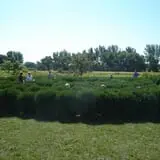Applewood Orchard photo
