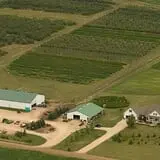 Applewood Orchard photo