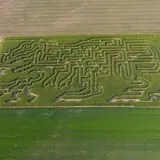 Lapoint Corn Maze & Pumpkin Patch photo
