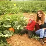 Lapoint Corn Maze & Pumpkin Patch photo