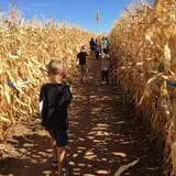 Lapoint Corn Maze & Pumpkin Patch photo