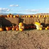 Lapoint Corn Maze & Pumpkin Patch photo