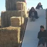 Lapoint Corn Maze & Pumpkin Patch photo
