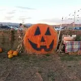 Lapoint Corn Maze & Pumpkin Patch photo