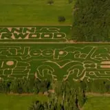 Maze Craze at Galloway Farm photo