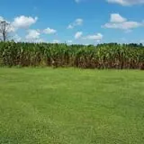 Maze Craze at Galloway Farm photo