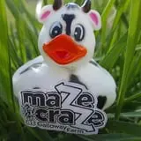 Maze Craze at Galloway Farm photo