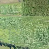 Maze Craze at Galloway Farm photo