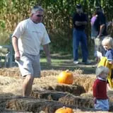 Maze Craze at Galloway Farm photo