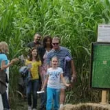 Maze Craze at Galloway Farm photo