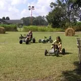 Maze Craze at Galloway Farm photo