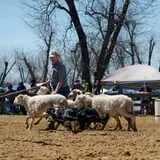 Maze Craze at Galloway Farm photo