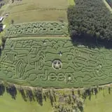 Maze Craze at Galloway Farm photo