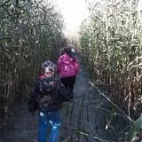 Maze Craze at Galloway Farm photo