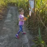 Maze Craze at Galloway Farm photo