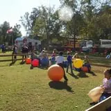 Maze Craze at Galloway Farm photo