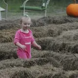 Maze Craze at Galloway Farm photo