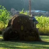 Maze Craze at Galloway Farm photo