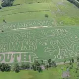 Maze Craze at Galloway Farm photo