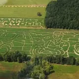 Maze Craze at Galloway Farm photo