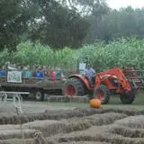 Maze Craze at Galloway Farm photo