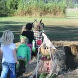 Maze Craze at Galloway Farm photo