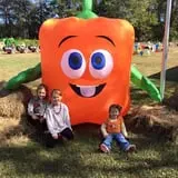 Maze Craze at Galloway Farm photo