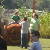 Maze Craze at Galloway Farm photo