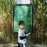Maze Craze at Galloway Farm photo