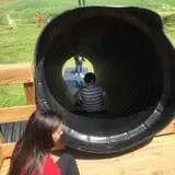 Maze Craze at Galloway Farm photo