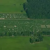 Maze Craze at Galloway Farm photo