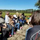Maze Craze at Galloway Farm photo