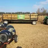 Maze Craze at Galloway Farm photo