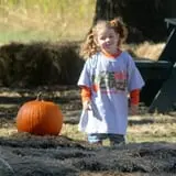 Maze Craze at Galloway Farm photo