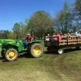 Maze Craze at Galloway Farm photo