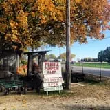 Fleitz Pumpkin Farm photo