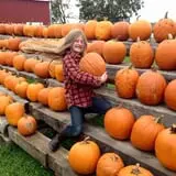 Fleitz Pumpkin Farm photo