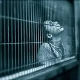 Aberdeen Fear Factory