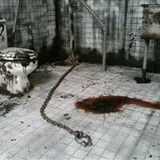 Aberdeen Fear Factory