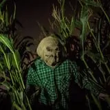 Haunted Field of Screams photo