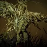 Haunted Field of Screams photo