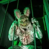 Haunted Field of Screams photo