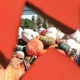 Goebbert's Pumpkin Patch photo