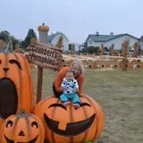 Goebbert's Pumpkin Patch photo