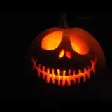 Goebbert's Pumpkin Patch photo